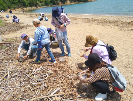 海岸清掃