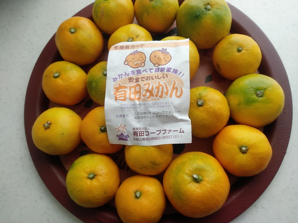 有機質肥料を使ったエコ有田みかん