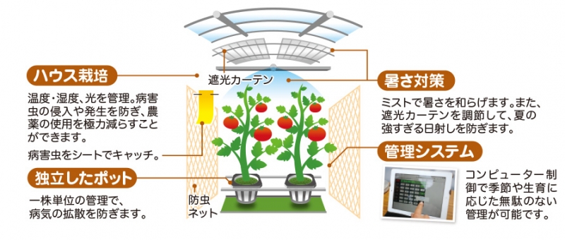 コープはれとまと