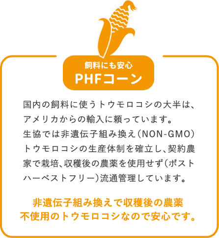 PHFコーン