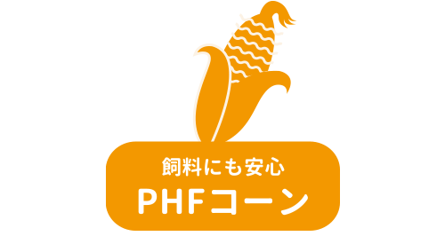 PHFコーン