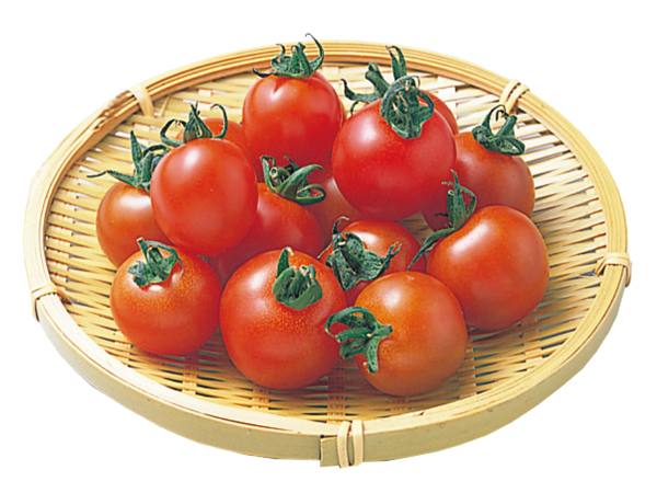ミラトマト（愛知）