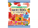 果汁100％ミニパウチゼリー