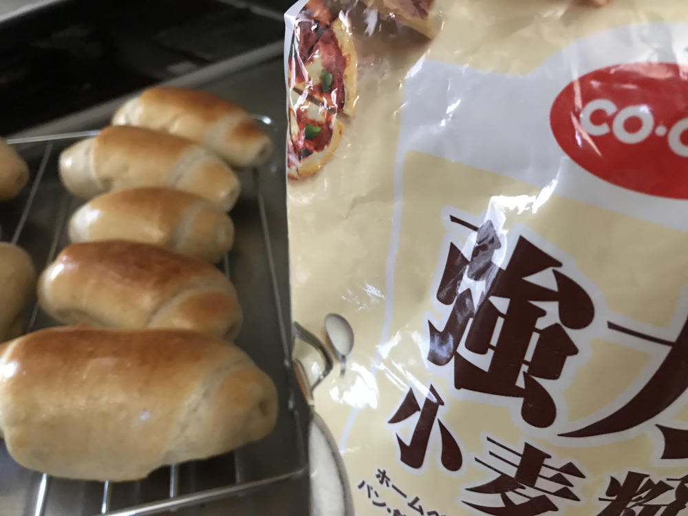 今日の昼ごはん