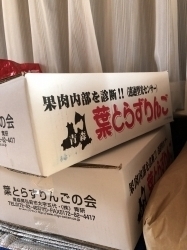 葉とらずりんご
