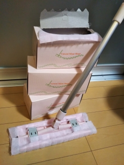 大掃除ではなく、小掃除でした。