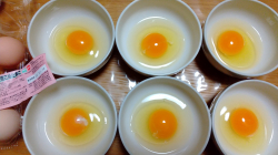 こめたまご準備して...