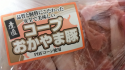 ぶた肉メニューは…