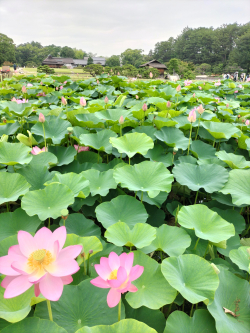 大人の社会科見学