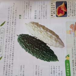 たべるたいせつきほんのき
