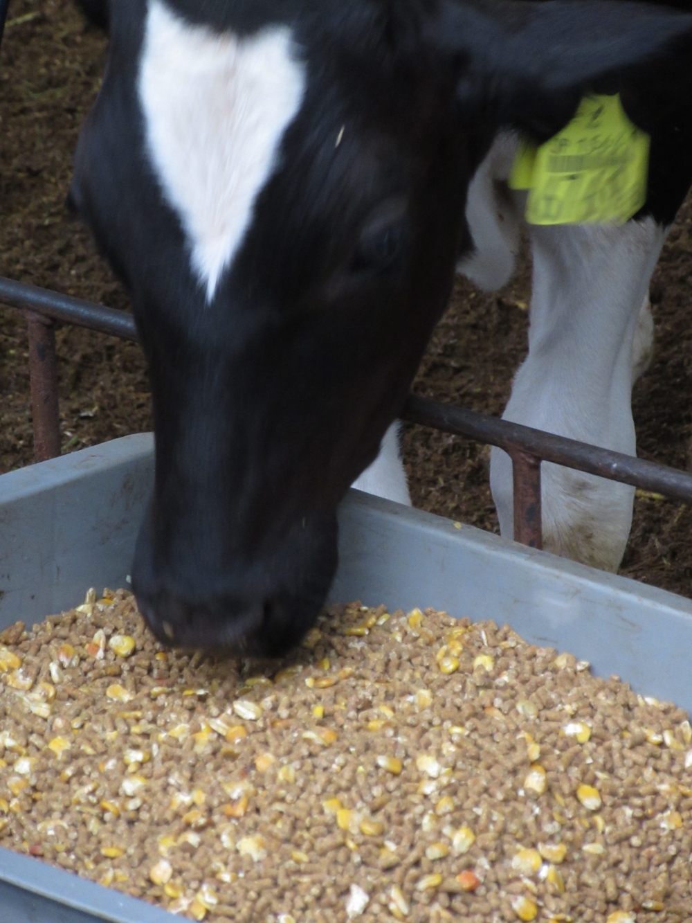 コープおかやま牛産地交流
【井笠エリア食のＰＪ】
