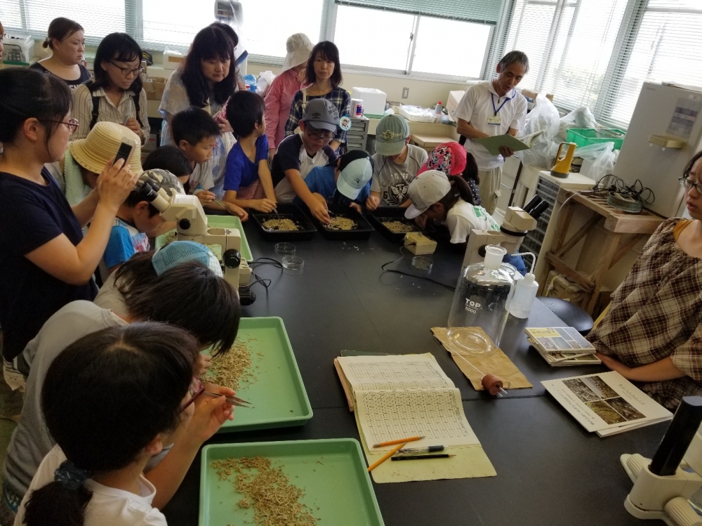 チリメンモンスターを探せ!!瀬戸内海のいきものを知ろう
【倉敷エリア環境の委員会】