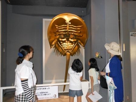 カブトガニ博物館での里海学習(おかやま環境ネットワークと共催)
【備北エリア環境にやさしいくらし方委員会】