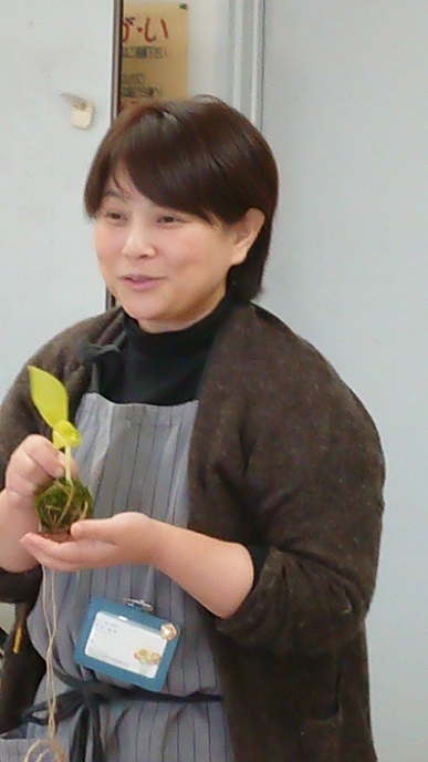 今話題の苔玉をつくってみませんか
【岡山東エリア西大寺コープ委員会】