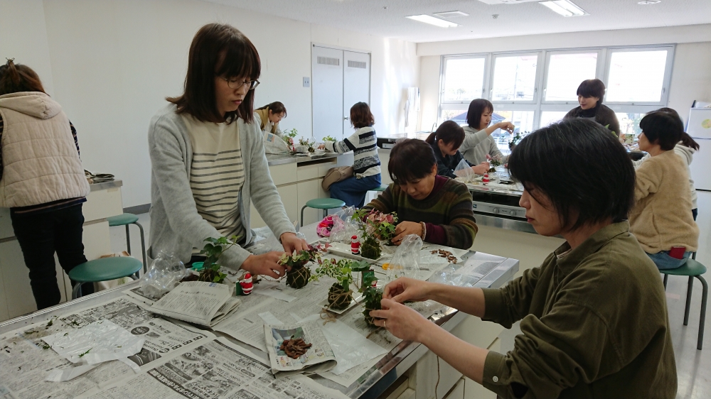 今話題の苔玉をつくってみませんか
【岡山東エリア西大寺コープ委員会】