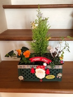 迎春年末商品お知らせ活動と寄せ植え
【美作エリア鏡野コープ委員会】