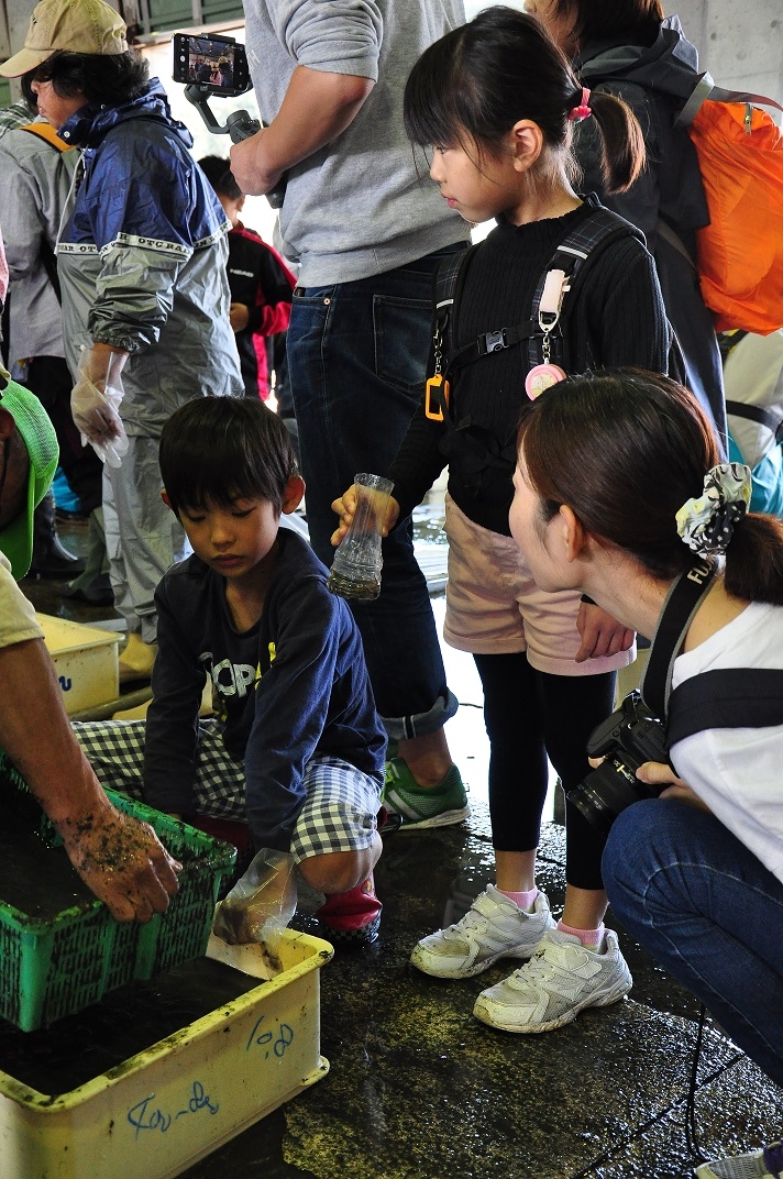 アマモの種選別と種まき体験と日生でとれるエビの食べ比べ
【倉敷エリア環境の委員会】