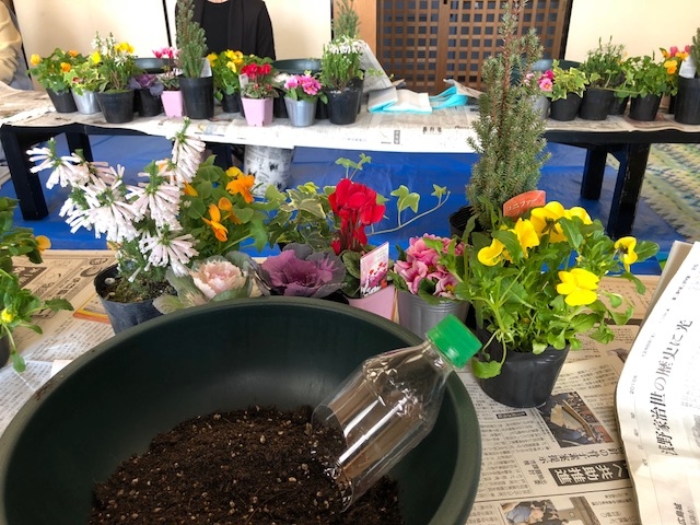 クリスマス&お正月に飾れる寄せ植え作り
【岡山西エリア福浜コープ委員会】