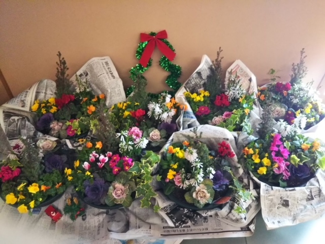 クリスマス&お正月に飾れる寄せ植え作り
【岡山西エリア福浜コープ委員会】