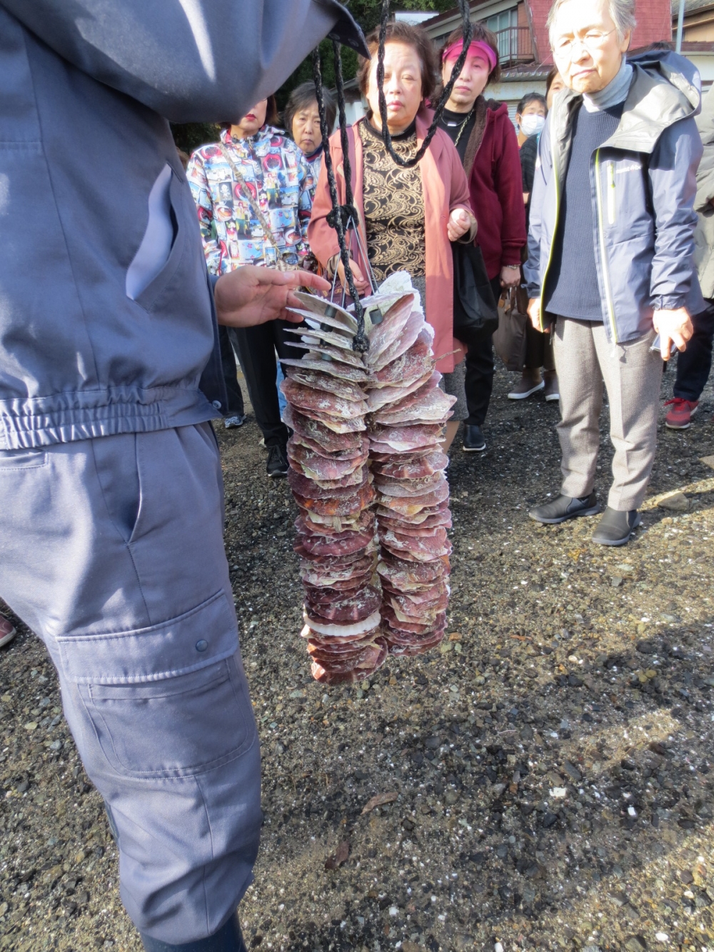 邑久町生ガキ産地見学~産地でカキについて学び、おいしさを実感しよう!!~
【岡山西エリア商品PJ】