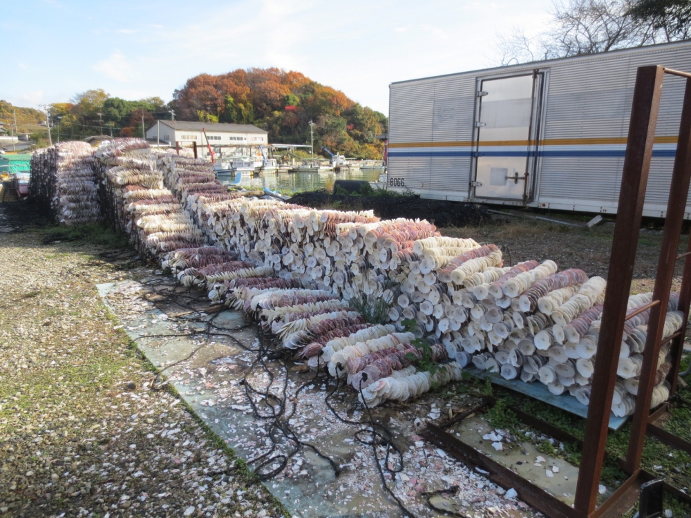 邑久町生ガキ産地見学~産地でカキについて学び、おいしさを実感しよう!!~
【岡山西エリア商品PJ】
