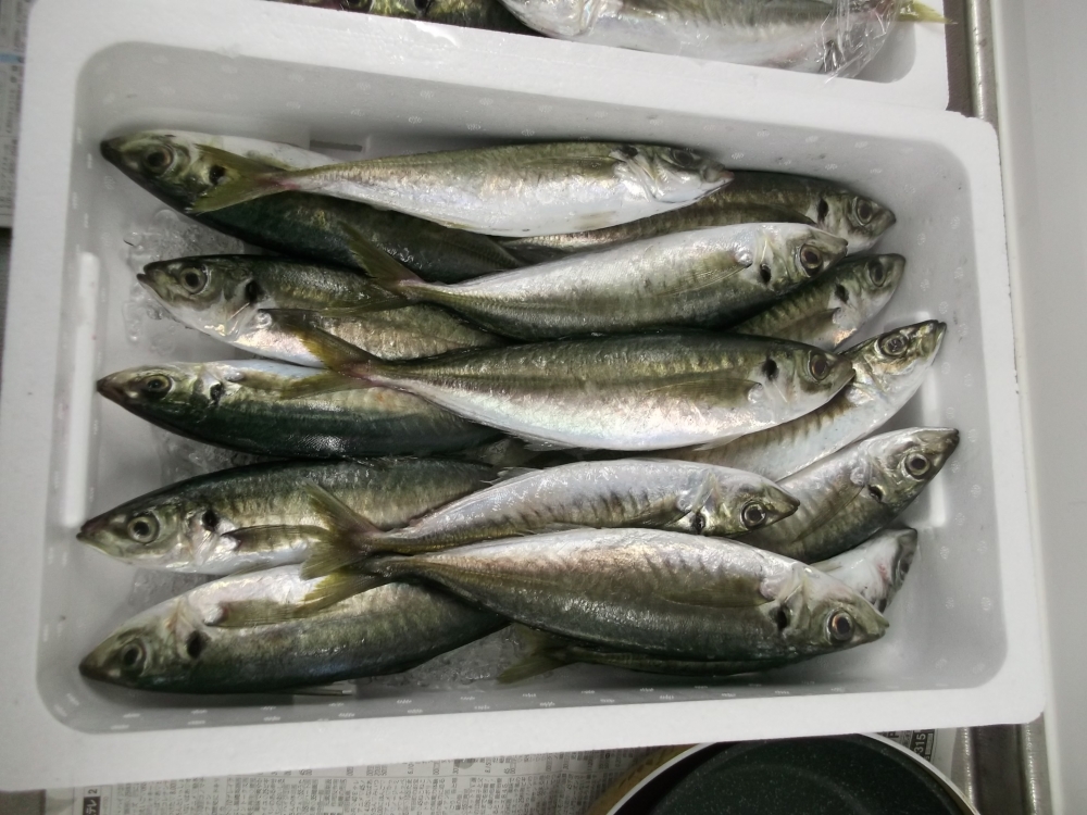 瀬戸内海のお魚料理教室
【美作エリアくらし安心P J】