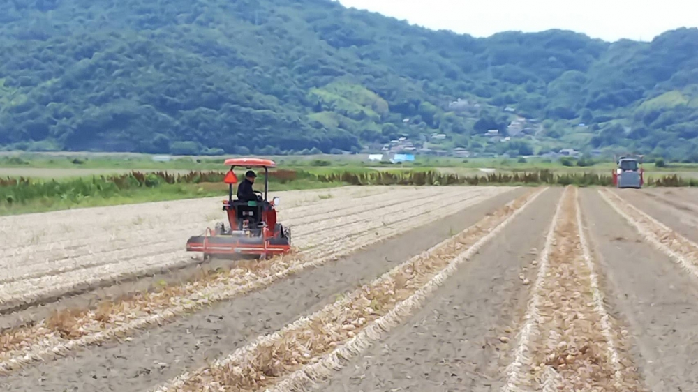 笠岡産たまねぎ
【井笠エリア六条院コープ委員会】
