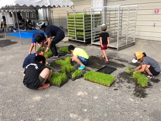 やってみよう♪田植え&稲刈り体験in瀬戸内(2回企画)
【岡山東エリアたべる・たいせつＰＪ】