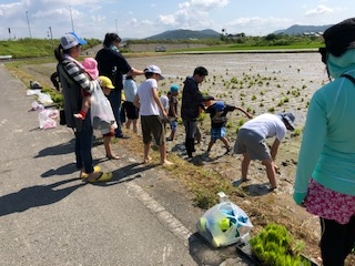 やってみよう♪田植え&稲刈り体験in瀬戸内(2回企画)
【岡山東エリアたべる・たいせつＰＪ】