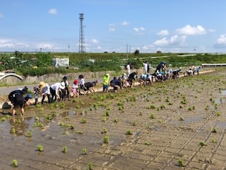 やってみよう♪田植え&稲刈り体験in瀬戸内(2回企画)
【岡山東エリアたべる・たいせつＰＪ】