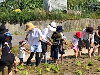 やってみよう♪田植え&稲刈り体験in瀬戸内(2回企画)
【岡山東エリアたべる・たいせつＰＪ】