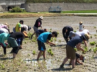 やってみよう♪田植え&稲刈り体験in瀬戸内(2回企画)
【岡山東エリアたべる・たいせつＰＪ】