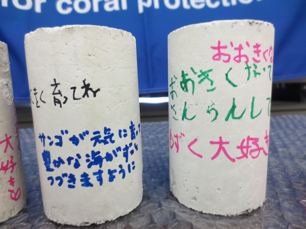 産地応援企画  もずく好きあつまれ!
【岡山西エリア商品P J】