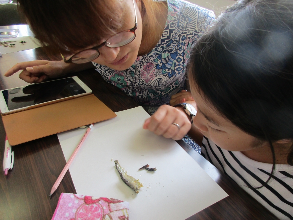 教えて!漁師さん 笠岡の海の様子とお魚料理
【井笠エリアくらし・環境PJ】