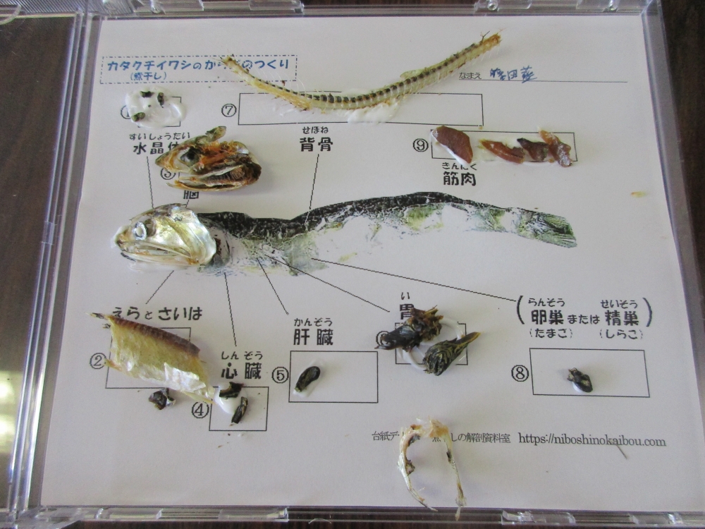 教えて!漁師さん 笠岡の海の様子とお魚料理
【井笠エリアくらし・環境PJ】