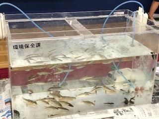 ~赤磐環境体験バスエコ企画~水辺の生き物しらべるんじゃー!!
【岡山東エリア未来・つながるPJ】