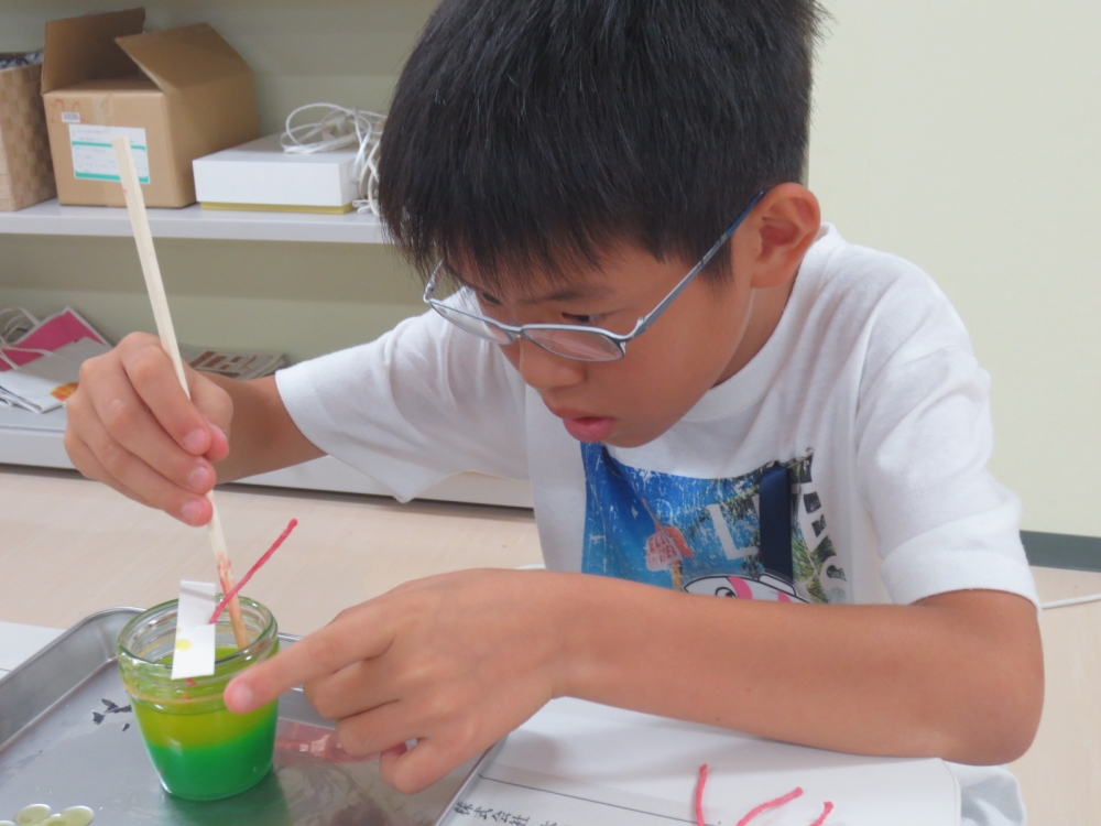 ~赤磐環境体験バスエコ企画~水辺の生き物しらべるんじゃー!!
【岡山東エリア未来・つながるPJ】