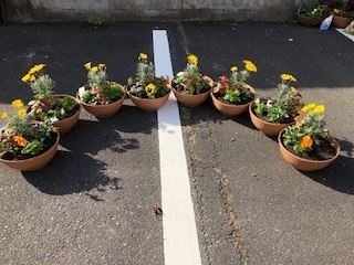 年末商品と寄せ植え
【美作エリア鏡野コープ委員会】