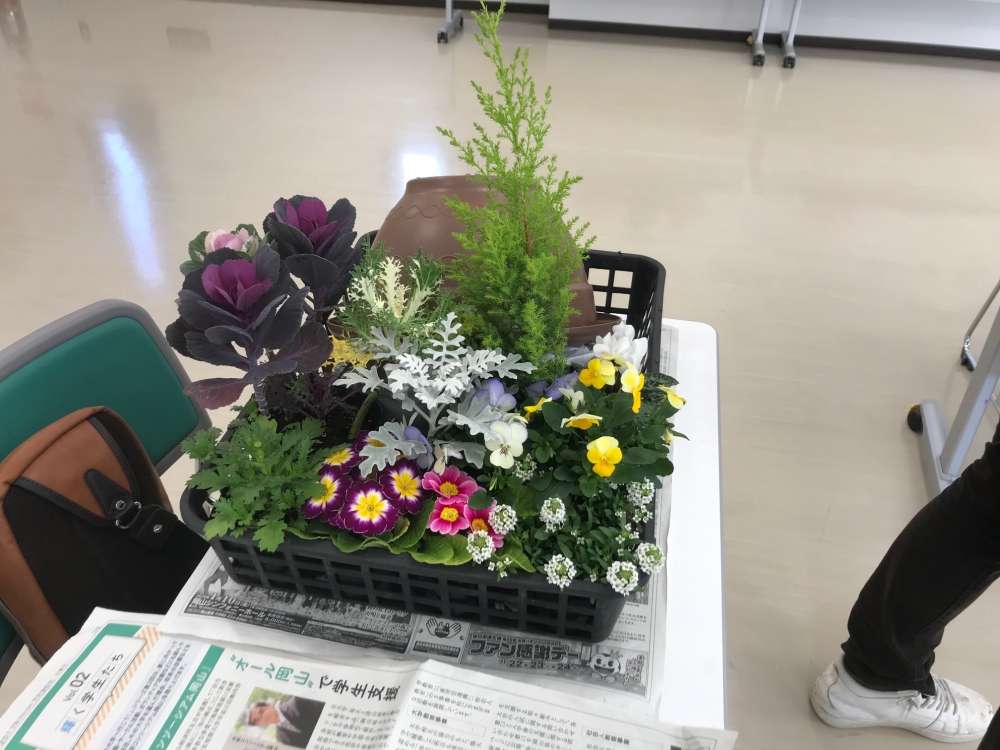冬の寄せ植えを作ろう!! 
【備北エリア昭和コープ委員会】