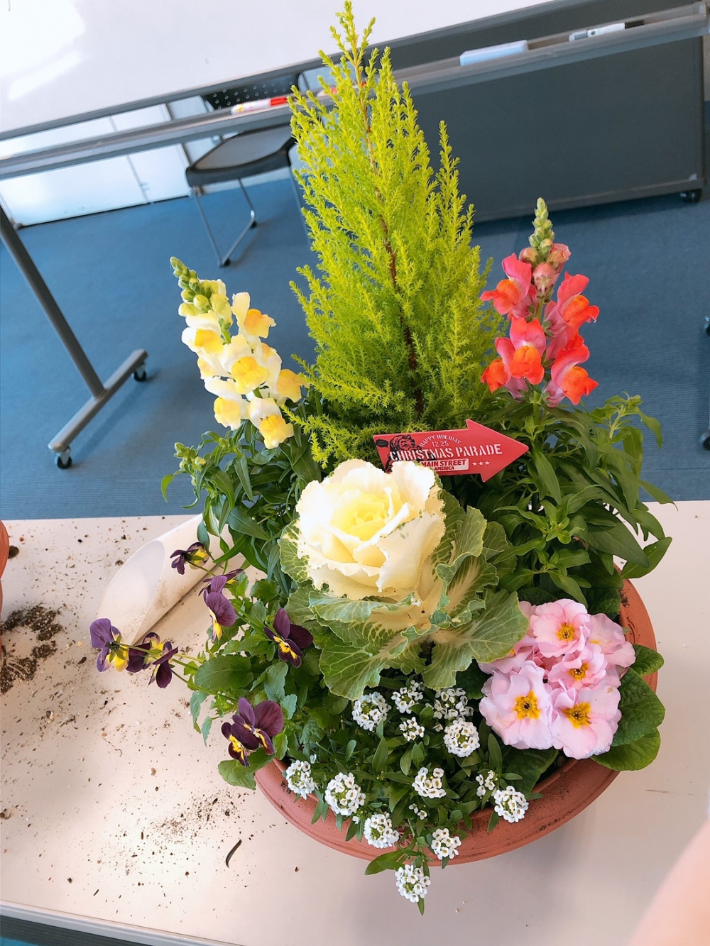 クリスマスに向けて寄せ植えをしよう!!
【井笠エリア寄島コープ委員会】