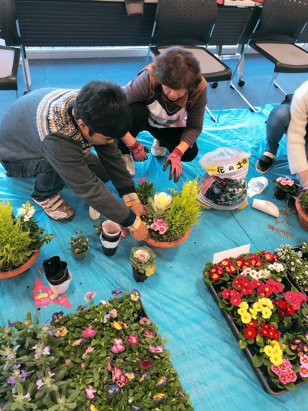 クリスマスに向けて寄せ植えをしよう!!
【井笠エリア寄島コープ委員会】