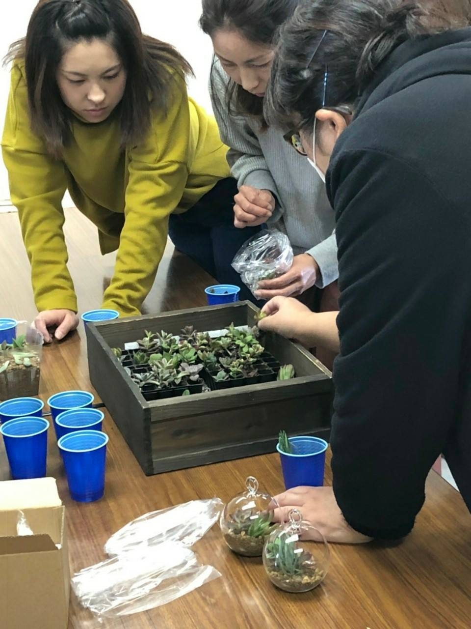 多肉植物でテラリウム 
【岡山東エリア西大寺　豊コープ委員会】
