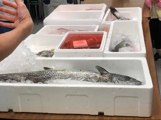 お魚料理にチャレンジしよう!～食卓から考える環境～
【岡山東エリア未来、つながるPＪ】