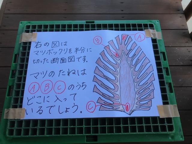 里山ウォーキング㏌長船美しい森
【岡山東エリア未来・つながるPJ】