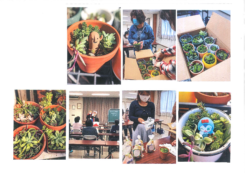多肉植物の寄せ植え
【岡山西エリア藤田北コープ委員会】