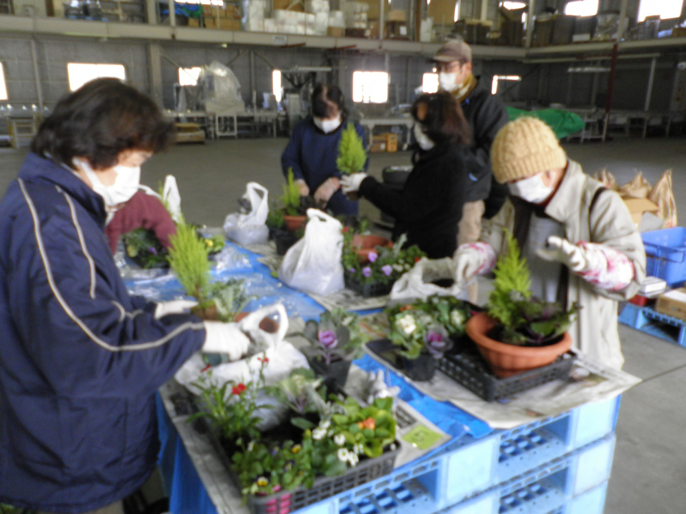 冬の寄せ植え
【備北エリア高梁北コープ委員会】