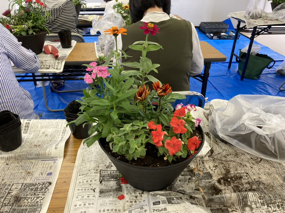 楽しい寄せ植え
【岡山西エリア御津中央コープ委員会】