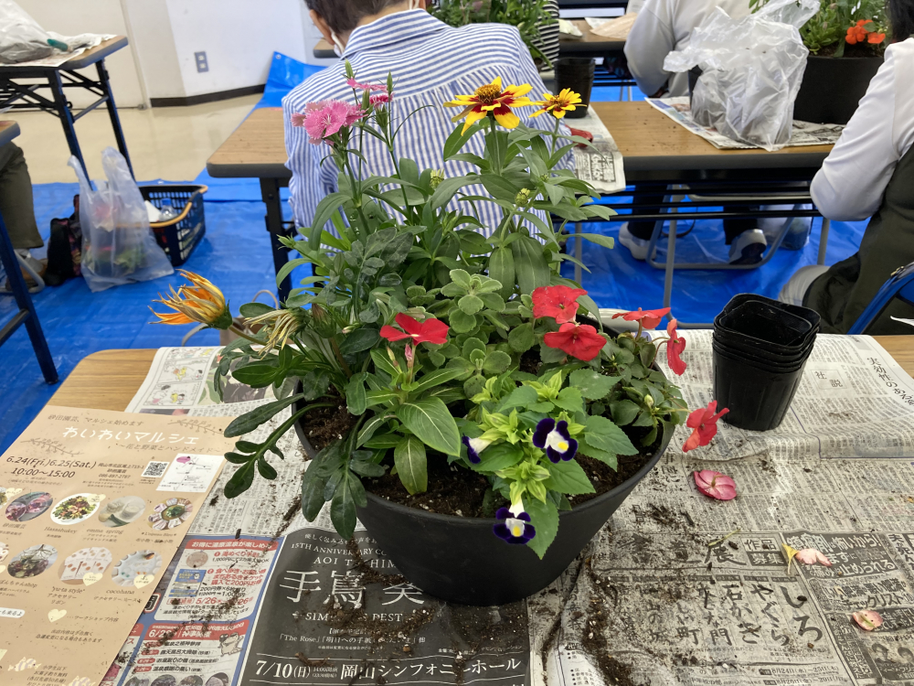 楽しい寄せ植え
【岡山西エリア御津中央コープ委員会】