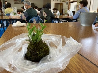 「苔玉」を作りましょう!!
【岡山西エリア牧石北コープ委員会】