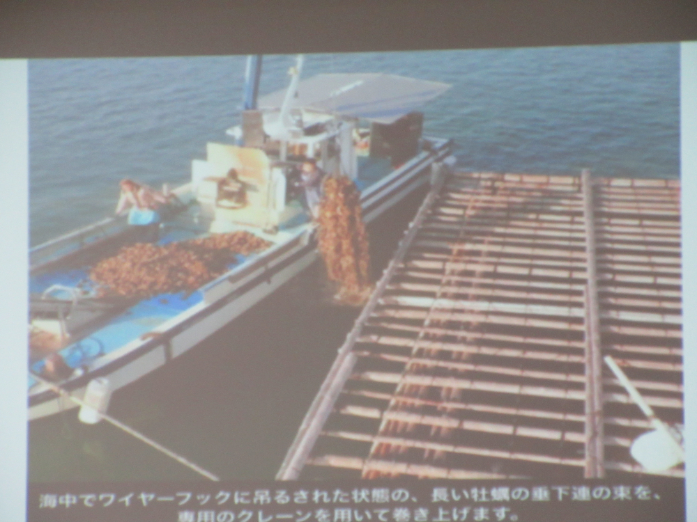 SDGs×海のおはなしオンラインセミナー　～カキの養殖と海を守る取り組み～
【美作エリアふくしとくらしPJ】